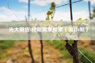 光大期货-终端需求观察（第110期）