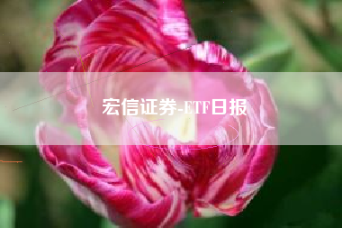 宏信证券-ETF日报