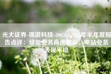 光大证券-锦浪科技-300763-2025年半年度报告点评：储能业务高速增长，电站业务表现平稳