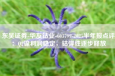 东吴证券-华友钴业-603799-2025半年报点评：Q2镍利润稳定，钴弹性逐步释放