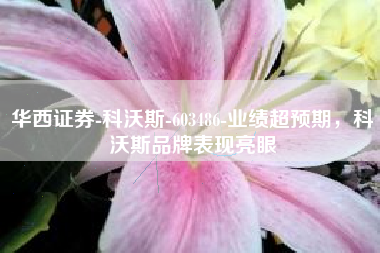 华西证券-科沃斯-603486-业绩超预期，科沃斯品牌表现亮眼