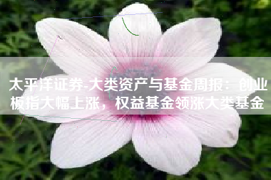 太平洋证券-大类资产与基金周报：创业板指大幅上涨，权益基金领涨大类基金