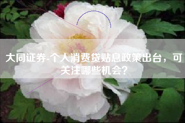 大同证券-个人消费贷贴息政策出台，可关注哪些机会？
