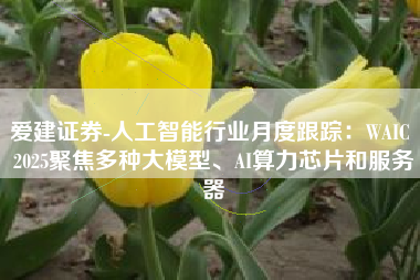 爱建证券-人工智能行业月度跟踪：WAIC 2025聚焦多种大模型、AI算力芯片和服务器
