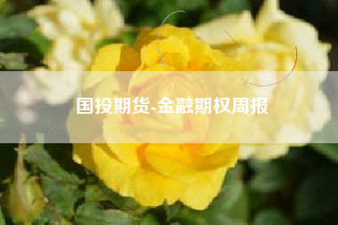 国投期货-金融期权周报