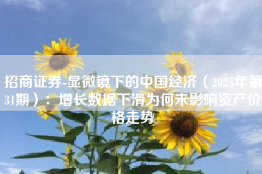 招商证券-显微镜下的中国经济（2025年第31期）：增长数据下滑为何未影响资产价格走势