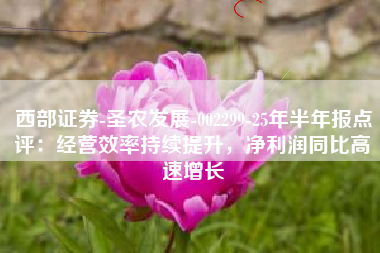 西部证券-圣农发展-002299-25年半年报点评：经营效率持续提升，净利润同比高速增长