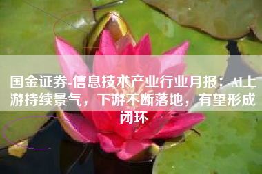 国金证券-信息技术产业行业月报：AI上游持续景气，下游不断落地，有望形成闭环