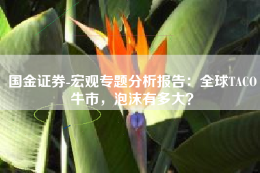国金证券-宏观专题分析报告：全球TACO牛市，泡沫有多大？