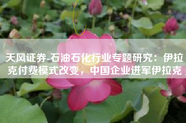 天风证券-石油石化行业专题研究：伊拉克付费模式改变，中国企业进军伊拉克
