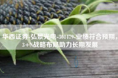 华西证券-弘景光电-301479-业绩符合预期，3+N战略布局助力长期发展