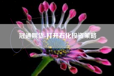 冠通期货-打开石化投资策略
