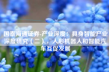 国泰海通证券-产业深度：具身智能产业深度研究（二），人形机器人和智能汽车互促发展