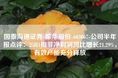 国泰海通证券-振华股份-603067-公司半年报点评：25H1扣非净利润同比增长21.29%，有效产能充分释放
