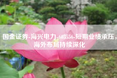 国金证券-海兴电力-603556-短期业绩承压，海外布局持续深化