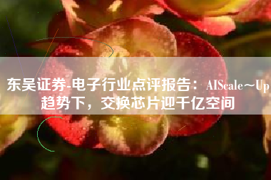 东吴证券-电子行业点评报告：AIScale~Up趋势下，交换芯片迎千亿空间