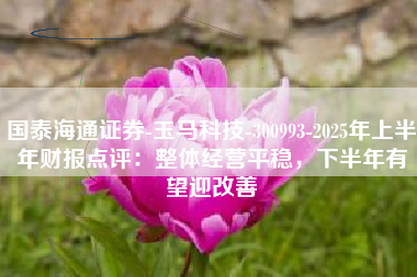 国泰海通证券-玉马科技-300993-2025年上半年财报点评：整体经营平稳，下半年有望迎改善