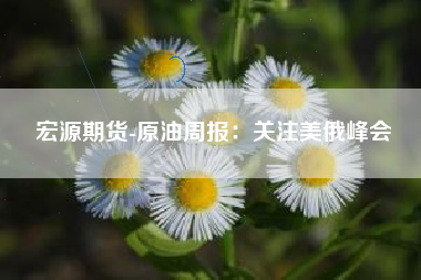 宏源期货-原油周报：关注美俄峰会