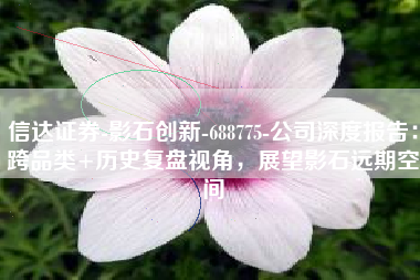 信达证券-影石创新-688775-公司深度报告：跨品类+历史复盘视角，展望影石远期空间