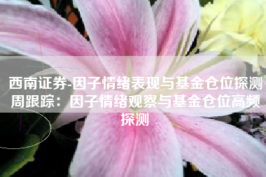 西南证券-因子情绪表现与基金仓位探测周跟踪：因子情绪观察与基金仓位高频探测
