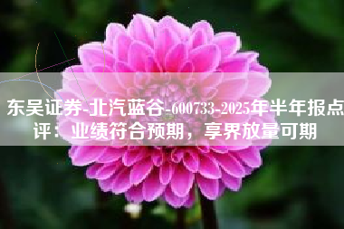 东吴证券-北汽蓝谷-600733-2025年半年报点评：业绩符合预期，享界放量可期