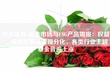 光大证券-基金市场与ESG产品周报：权益、债券型基金表现分化，各类行业主题基金普遍上涨