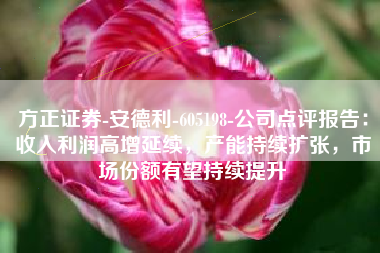 方正证券-安德利-605198-公司点评报告：收入利润高增延续，产能持续扩张，市场份额有望持续提升