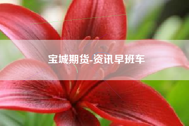宝城期货-资讯早班车