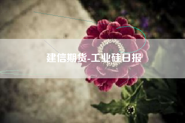 建信期货-工业硅日报