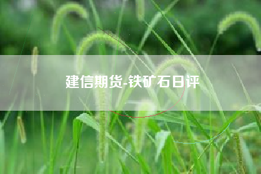建信期货-铁矿石日评