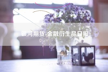 银河期货-金融衍生品日报