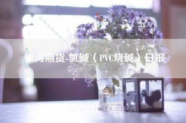 银河期货-氯碱（PVC烧碱）日报