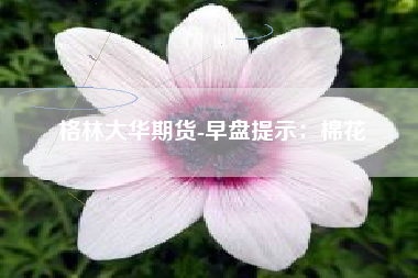格林大华期货-早盘提示：棉花