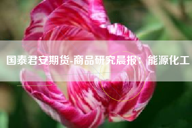国泰君安期货-商品研究晨报：能源化工