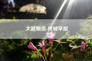 大越期货-纯碱早报