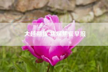 大越期货-焦煤焦炭早报