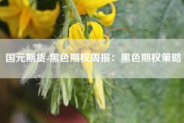 国元期货-黑色期权周报：黑色期权策略