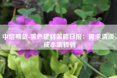 中信期货-黑色建材策略日报：需求清淡，成本端转弱