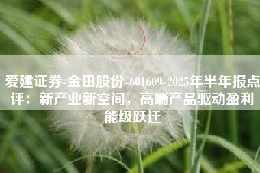 爱建证券-金田股份-601609-2025年半年报点评：新产业新空间，高端产品驱动盈利能级跃迁