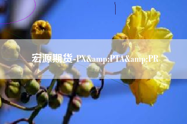 宏源期货-PX&PTA&PR
