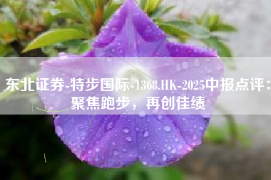 东北证券-特步国际-1368.HK-2025中报点评：聚焦跑步，再创佳绩