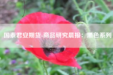国泰君安期货-商品研究晨报：黑色系列