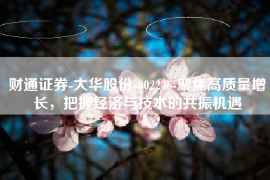 财通证券-大华股份-002236-聚焦高质量增长，把握经济与技术的共振机遇