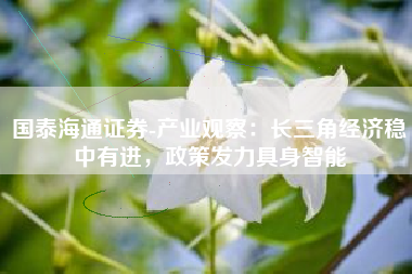 国泰海通证券-产业观察：长三角经济稳中有进，政策发力具身智能