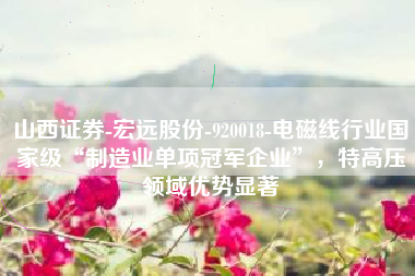山西证券-宏远股份-920018-电磁线行业国家级“制造业单项冠军企业”，特高压领域优势显著