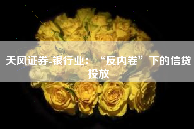 天风证券-银行业：“反内卷”下的信贷投放