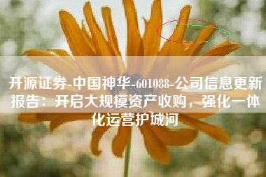 开源证券-中国神华-601088-公司信息更新报告：开启大规模资产收购，强化一体化运营护城河