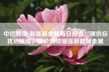 中信期货-新能源金属每日报告：锂供应扰动延续，锂价继续领涨新能源金属