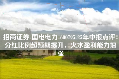 招商证券-国电电力-600795-25年中报点评：分红比例超预期提升，火水盈利能力增强