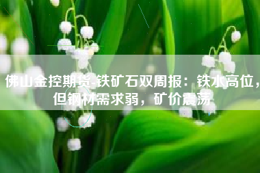 佛山金控期货-铁矿石双周报：铁水高位，但钢材需求弱，矿价震荡